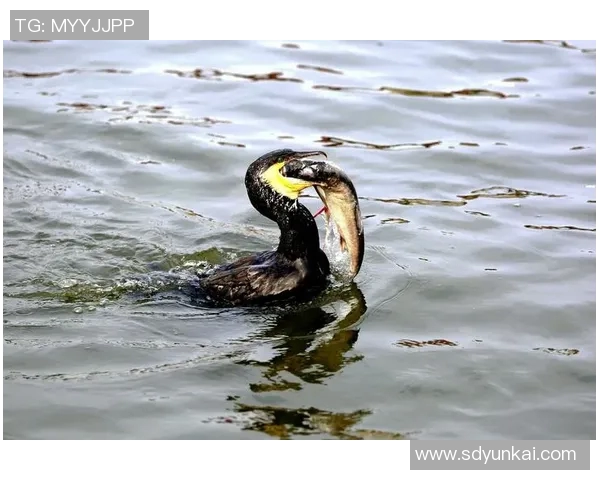 足球明星闭眼瞬间的精彩合集与背后的故事分享